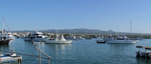 boats at anchor