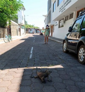 mask and iguana